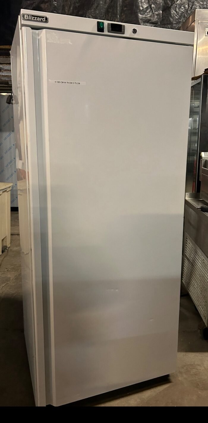 Single Commercial Freezer (Blizzard) - Image 3